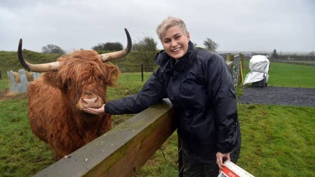 MEP Maria Walsh, with her pedigree Highland heifers on her family farm. Photo: Ray Ryan