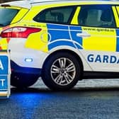 Gardai appeal for witnesses after Louth road fatality