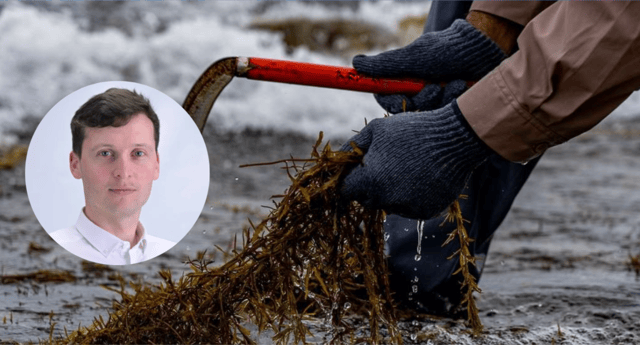 Mayo TD Paul Lawless invites Mayo coastal communities to a public meeting on seaweed harvesting in Newport on Monday, March 9