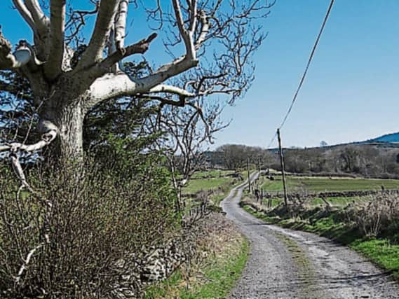 Local Improvement Scheme funding of over €300,000 has been announced for Longford
