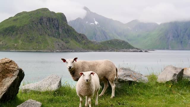 The Westport Sheep and Beef farmer secured the Land Mobility Award.