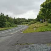 The R335 road separates the Sli na Misean housing estate from the Greenway and the speed limit outside the estate is currently 80kmh.