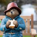 Paddington arrived on The Fairgreen in Westport in October 2024.