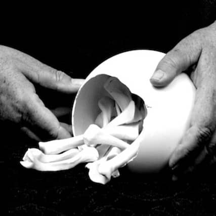 DELICATE TRIBUTE An installation containing porcelain bones, by Holly Mullarkey.