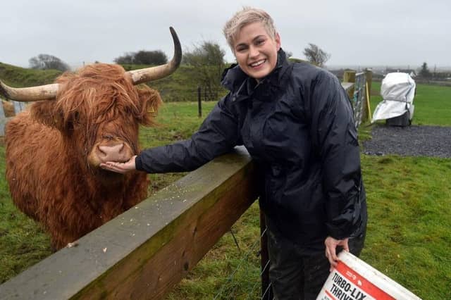 MEP Maria Walsh with Highland heifers cows on her family farm