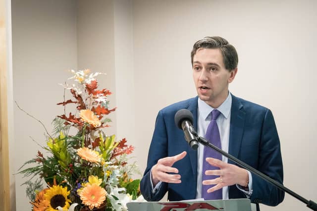WORK TO DO The new Taoiseach Simon Harris has a huge body of work in front of him if he is to turn around the fortunes of Fine Gael. Pic: Keith Heneghan