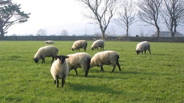 Minister Alan Dillon says ACRES payments will support farmers across Mayo