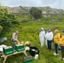 More than 10,000 bees arrived on Inishturk as part of the proposed Native Irish Honey Bee Sanctuary initiative led by Dr Sean O’Connor