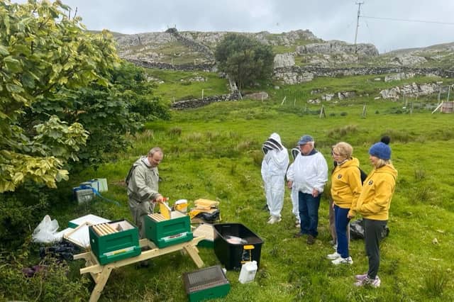 More than 10,000 bees arrived on Inishturk as part of the proposed Native Irish Honey Bee Sanctuary initiative led by Dr Sean O’Connor
