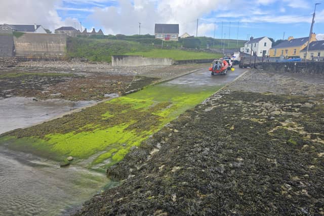 Algae on Kilcommon Pier, Co Mayo