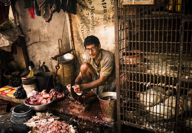 Chicken for Sale in Kolkatta