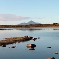 Proposal to develop sauna facility and zen garden in Mayo town