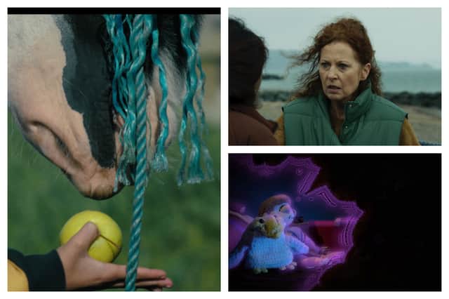 Horseback, On Belonging, REM