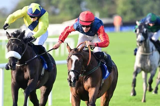 The John Cullen trained Phoenix Arizona secured victory at the final race meeting of the year at Ballinrobe Races.