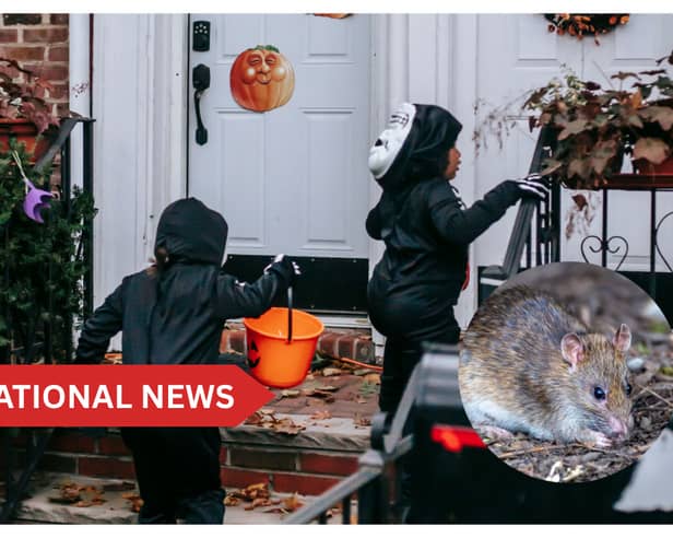 Households are advised to keep pumpkins away from doors, bins and garden sheds