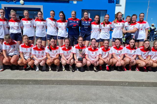 The Moy Davitts Gaelic football team