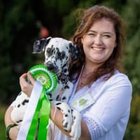 Mayo dalmatian Ivy crowned Petmania Puppy of the Year