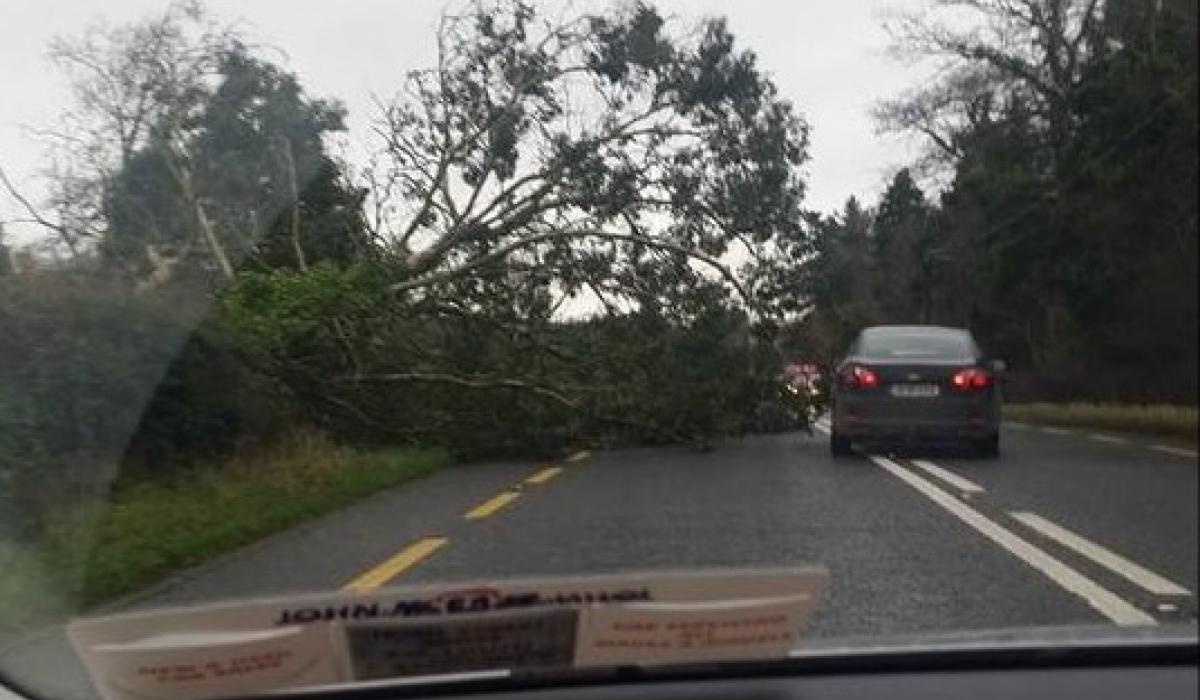 Alert: Met Eireann pinpoints when status yellow wind warning is set to hit Mayo
