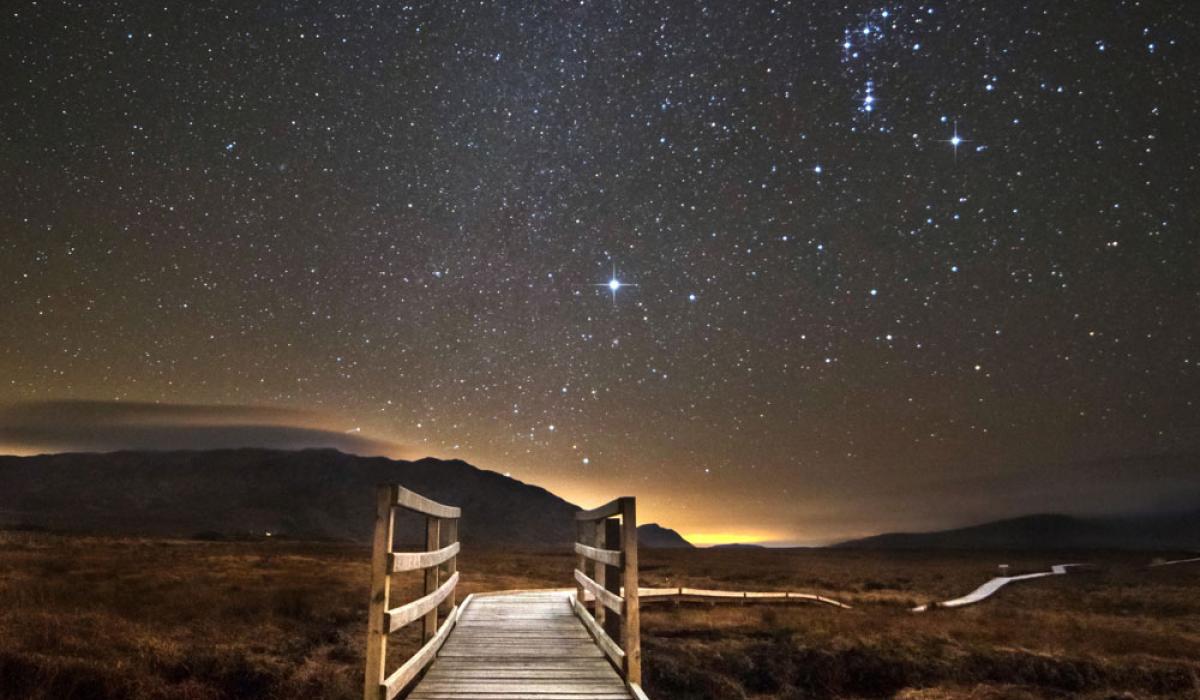 Seeing stars Mayo Live