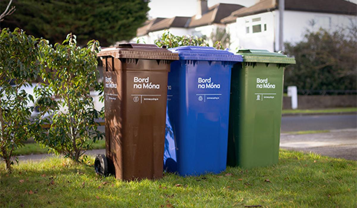 Every household in Ireland to get brown bin in New Year as new laws