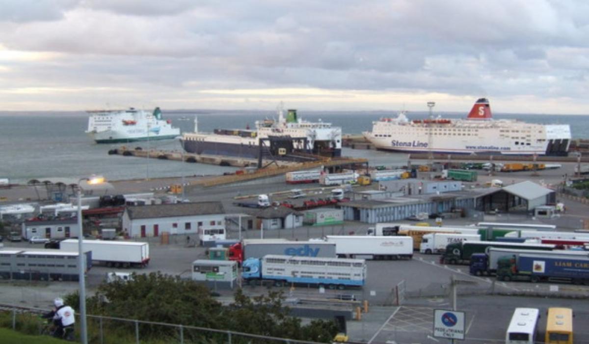 Migrants found in shipping container in Rosslare missing from State