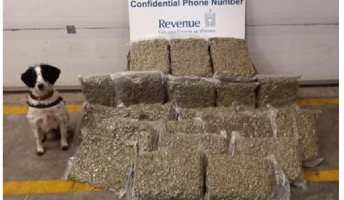 Sniffer dogs help find cannabis and cigarettes valued at nearly € - Can Sniffer Dogs Smell Sealed Cigarettes
