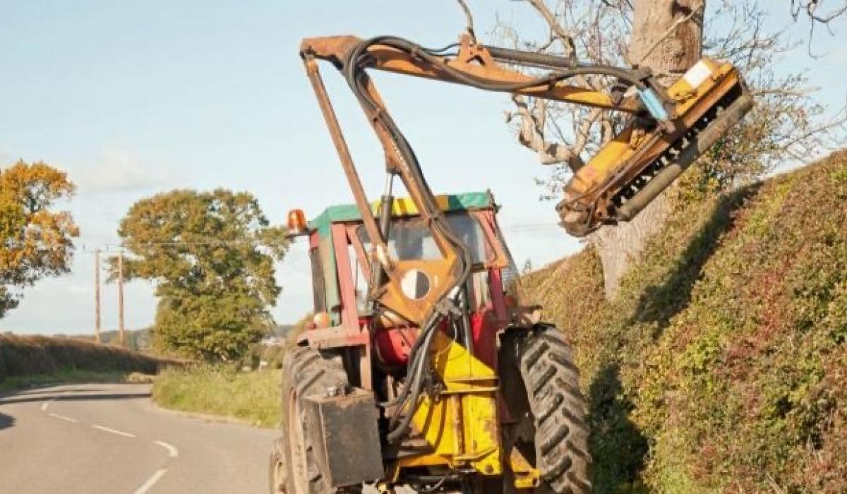 Mayo landowners may be reminded of their responsibility for maintaining trees and hedges