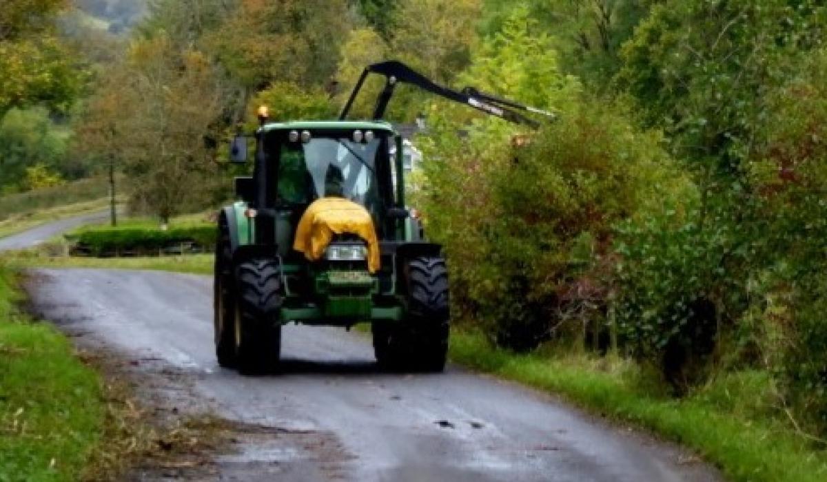 Renewed calls for action on overgrown hedges across Mayo