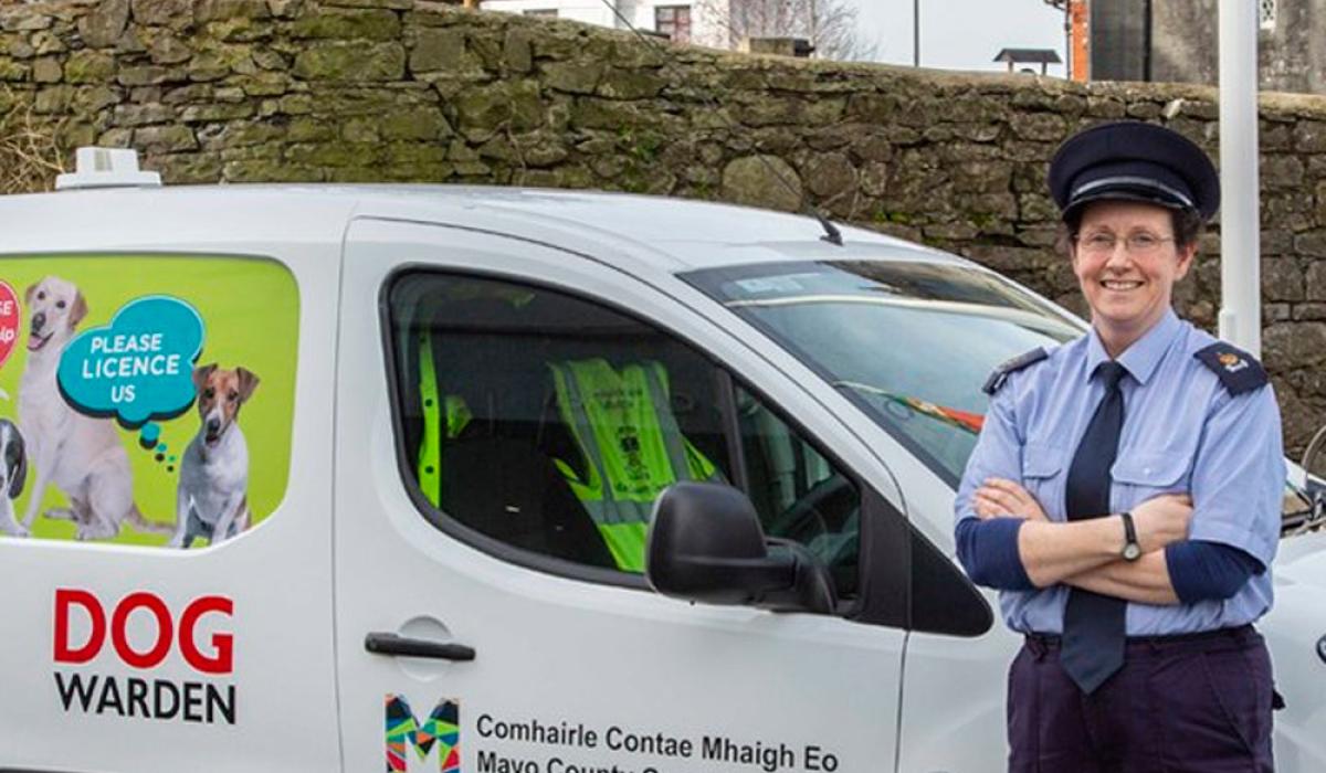 A Day in the Life Laura Mulligan Mayo Live