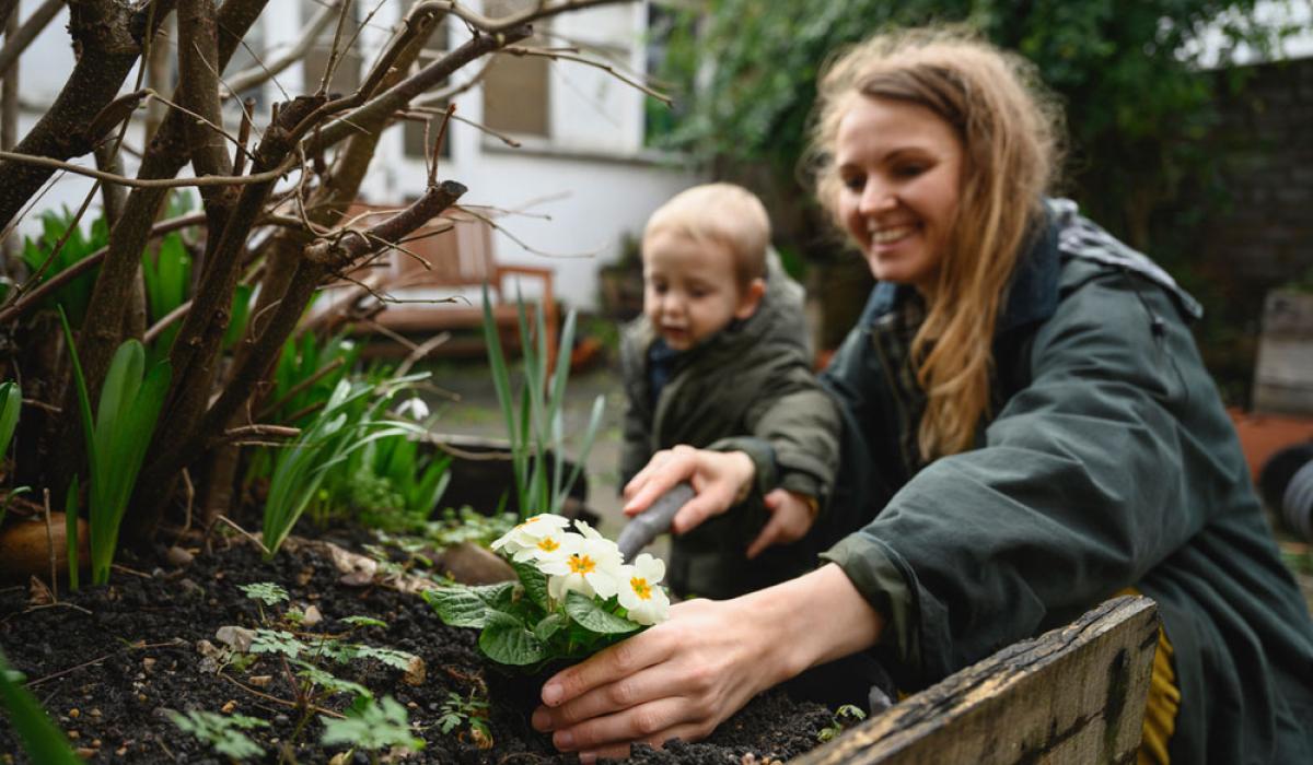 A green spring clean in the garden Mayo Live