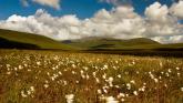 The Wild Nephin National Park in Ballycroy is the least Instagrammable in Ireland