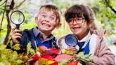 Free trees for Mayo primary schools this National Tree Day
