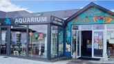 “A space where families can just be”: Sensory Sundays at Achill aquarium connecting Mayo people.