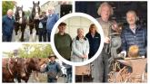 PICTURES: Were you at the Mayo town Horse Fair & Heritage Day?