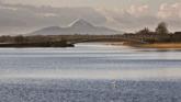 Popular scenic Mayo lake looking for new coffee dock operator