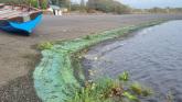 Public given warning following reports of algal on Mayo Lakes