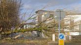 Storm Éowyn Report: Mayo communities face ongoing vulnerability