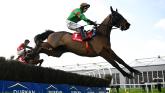 Mayo owned racehorse set to run in top class Grade One race today
