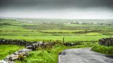 OECD Review of development in Rural Ireland