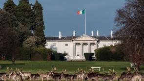 Mayo County Council reject opportunity to nominate candidate for Presidential election