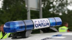 Searches carried out in Ireland and Spain targeting major crime gang