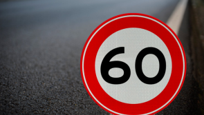 Speed limit argument hears about ducks, drunks and bumps in the road 