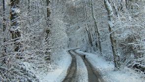 ALERT: Met Éireann issues Status Yellow low temperature/ice warning 