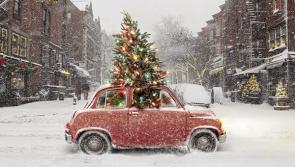 Dispose of your tree sustainably at Mayo County Council drop-off points