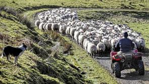 Mayo election candidates to be quizzed by farmers in pre-election debate