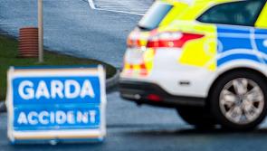 Gardai appeal for witnesses after pedestrian dies following suspected 'hit and run'