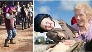 The 15 types of people you'll meet this year at the National Ploughing Championships