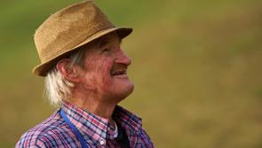 Ploughing 2023: A beginner's guide to speaking Farmerish at the Ploughing