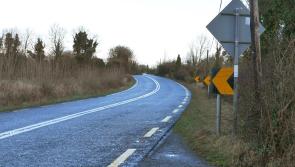 Over €97,000 paid to replace signs on old N5