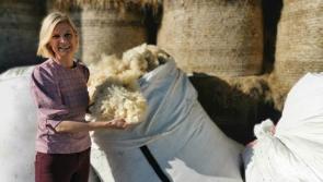 Farmer from Mayo tipped to run for Green Party leadership 